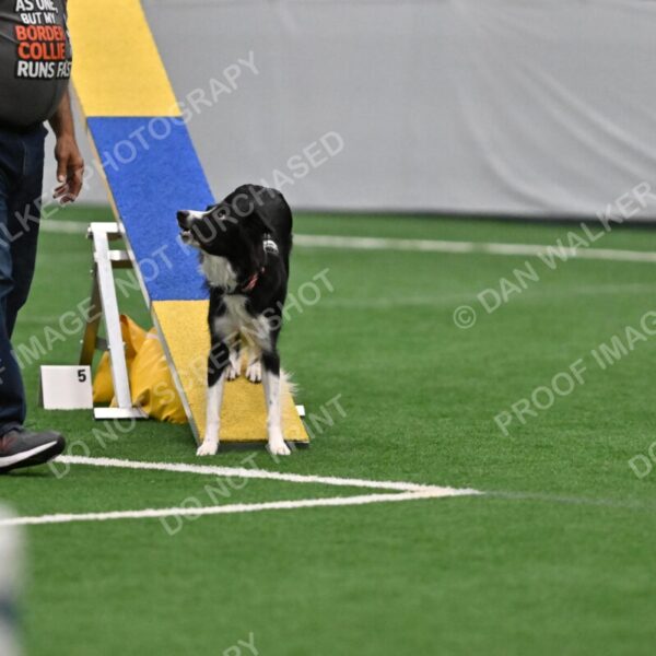 Lincoln-Clark-Hollada-13695