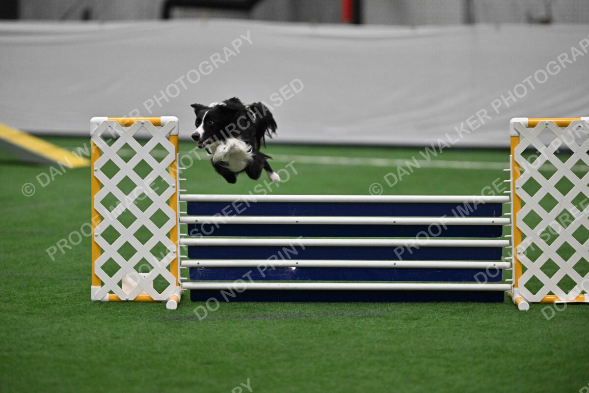 Lincoln-Clark-Hollada-13697