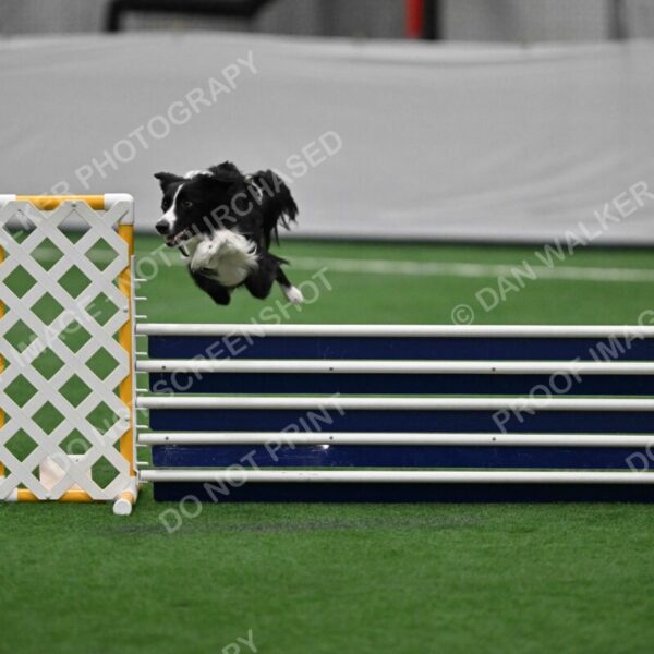 Lincoln-Clark-Hollada-13697