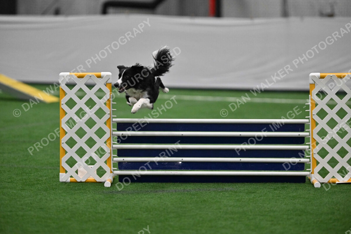 Lincoln-Clark-Hollada-13698