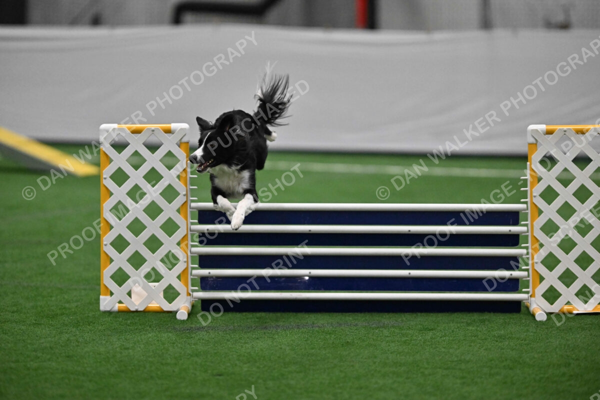 Lincoln-Clark-Hollada-13699