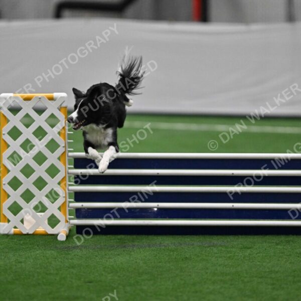 Lincoln-Clark-Hollada-13699