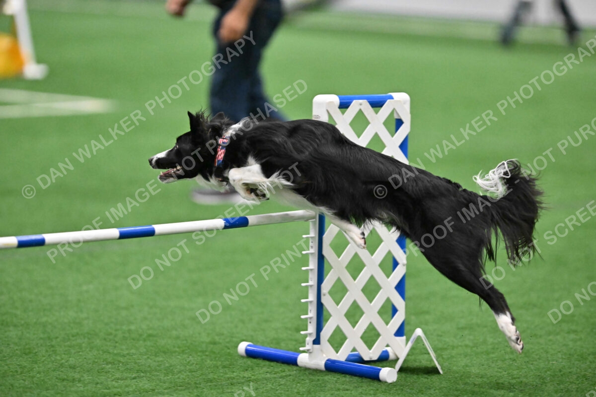 Lincoln-Clark-Hollada-13705