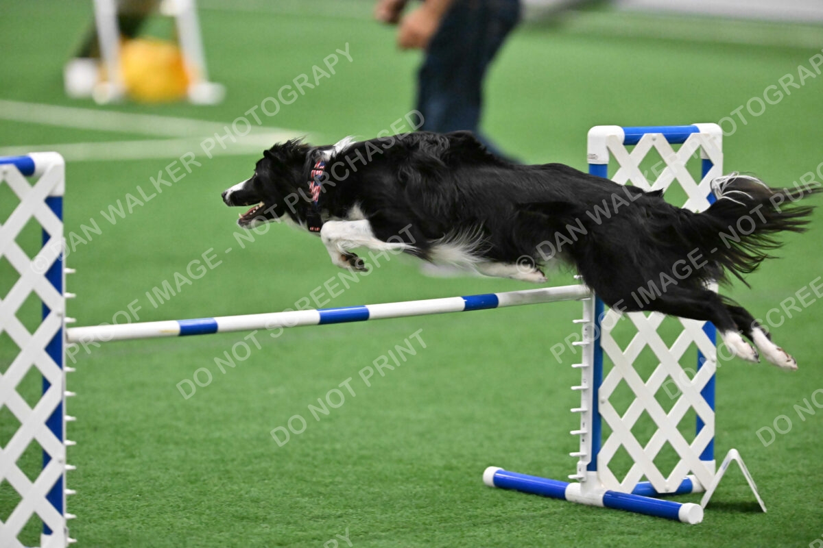 Lincoln-Clark-Hollada-13706