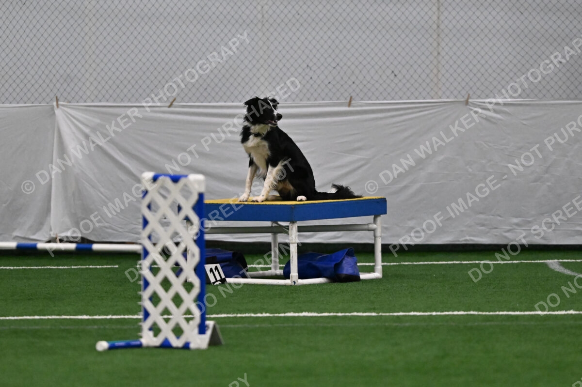 Lincoln-Clark-Hollada-13707