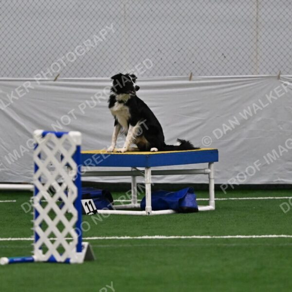 Lincoln-Clark-Hollada-13707