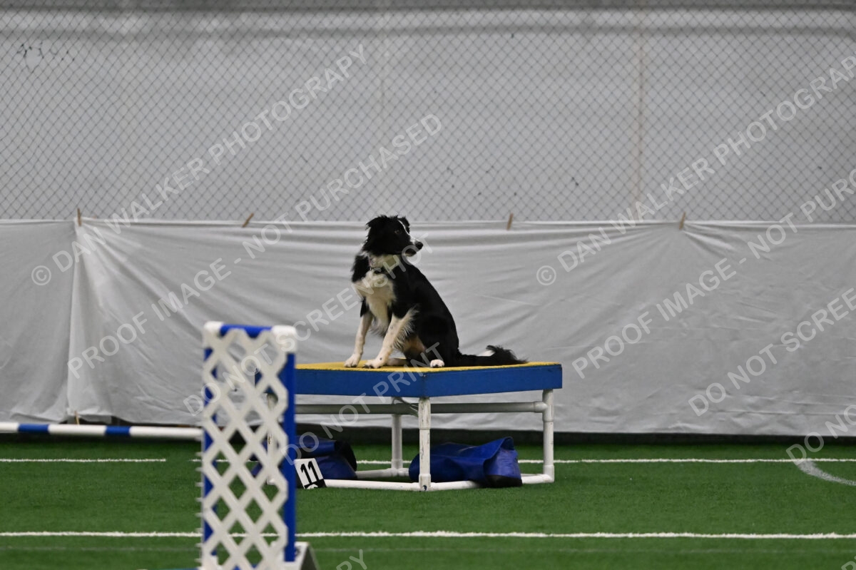 Lincoln-Clark-Hollada-13710