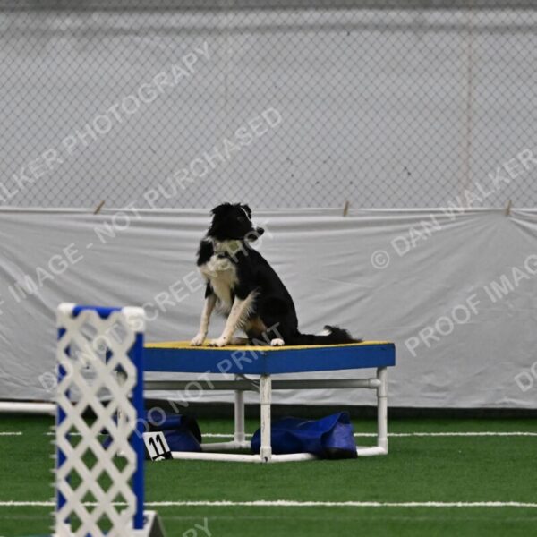 Lincoln-Clark-Hollada-13710