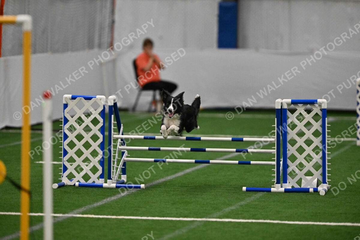 Lincoln-Clark-Hollada-13716