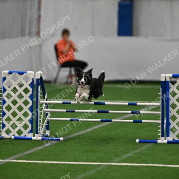 Lincoln-Clark-Hollada-13716