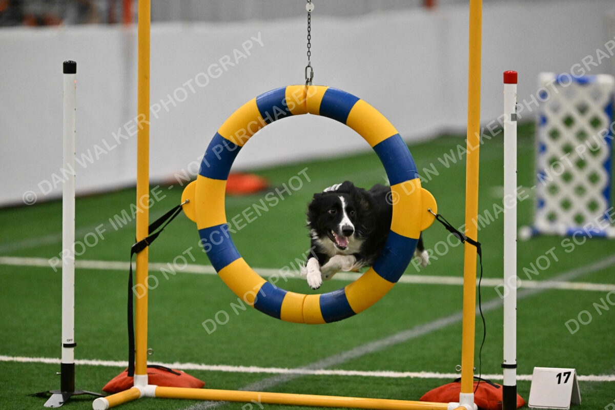 Lincoln-Clark-Hollada-13718