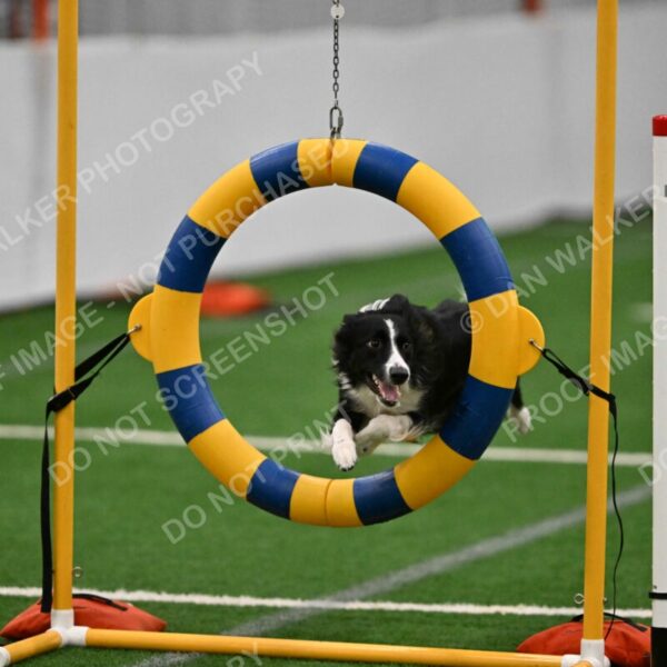 Lincoln-Clark-Hollada-13718