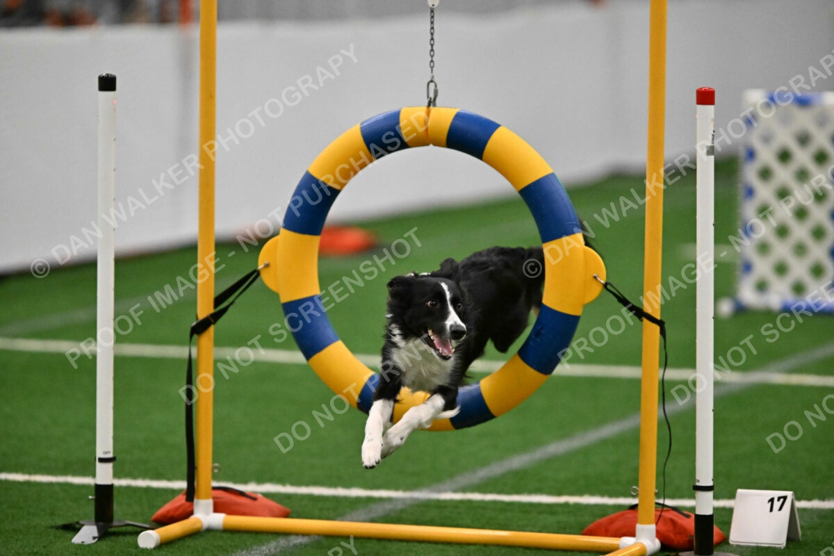 Lincoln-Clark-Hollada-13719