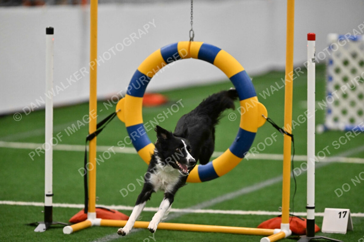 Lincoln-Clark-Hollada-13720