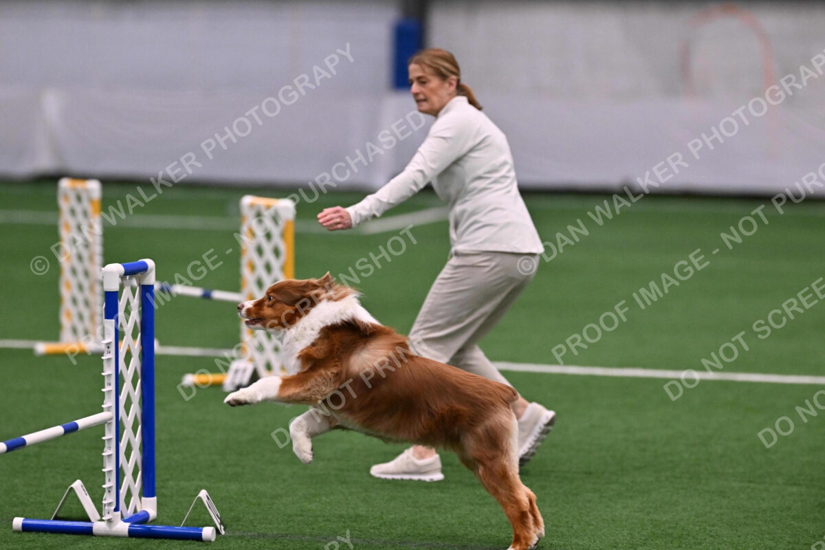 Roo-Elizabeth-Rowan-11139