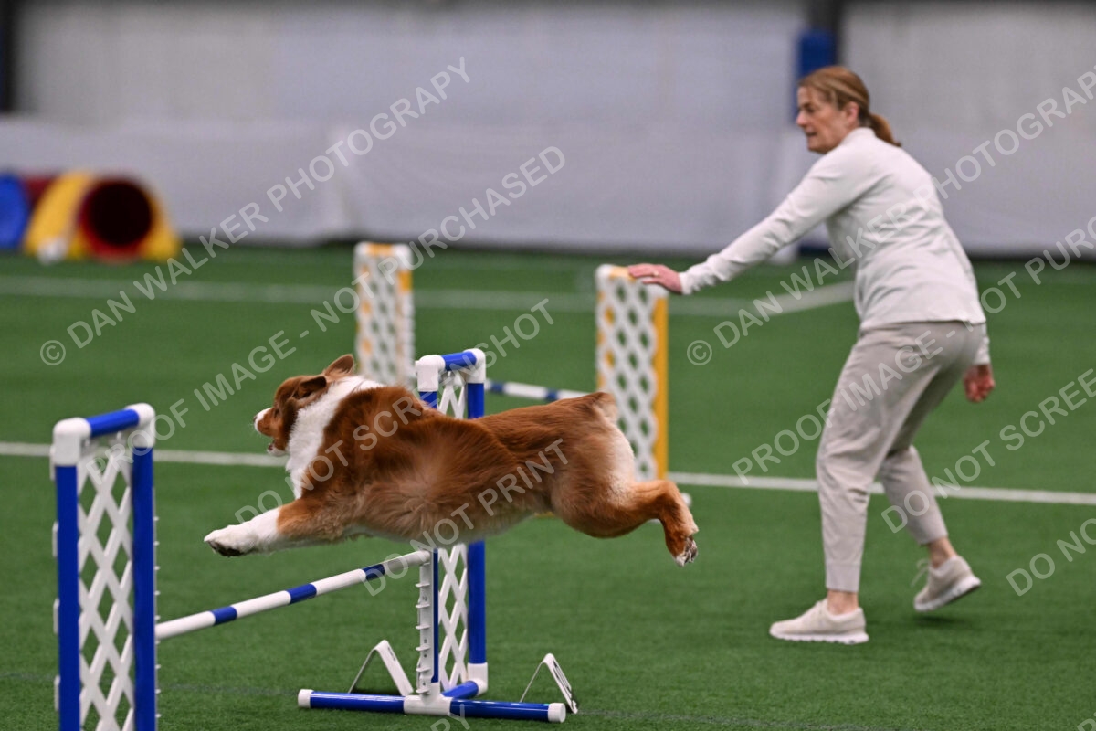 Roo-Elizabeth-Rowan-11142