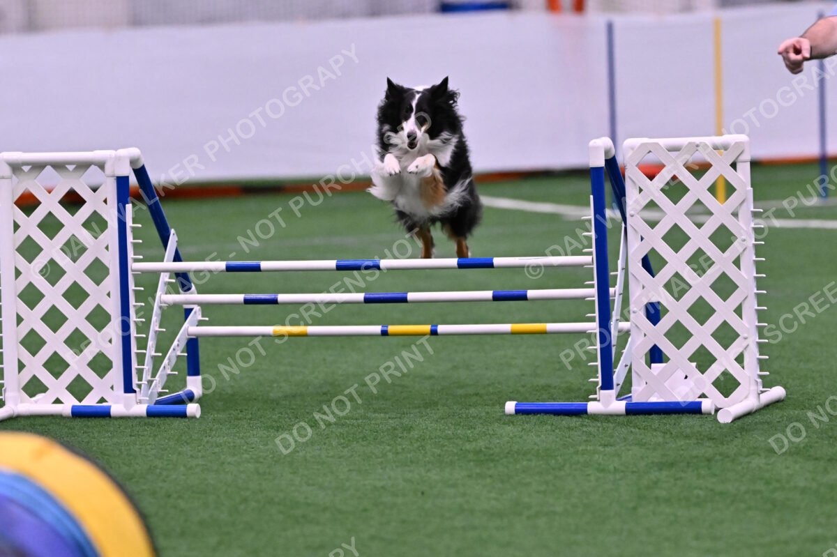 Ajax-John-Lathem-03491