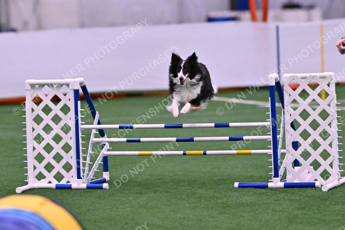 Ajax-John-Lathem-03492