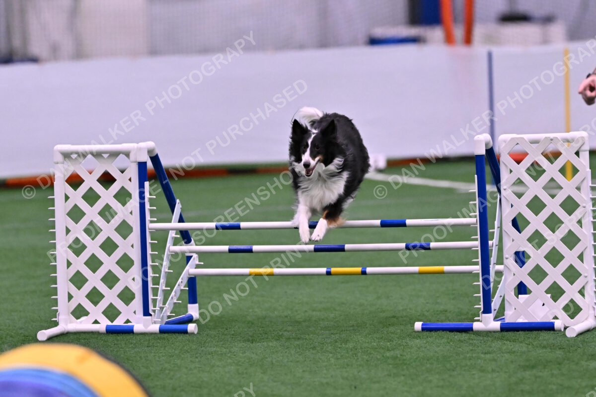 Ajax-John-Lathem-03493