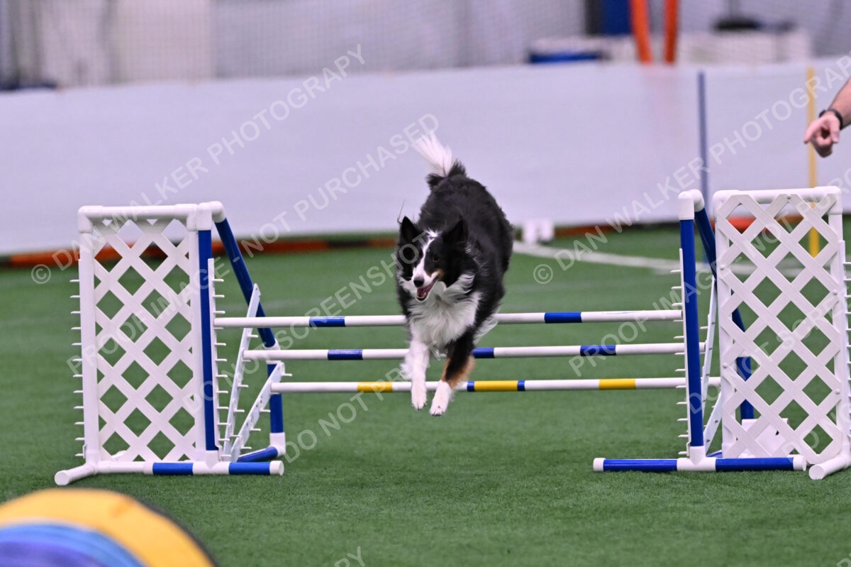 Ajax-John-Lathem-03494