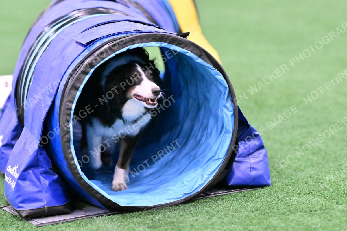 Ajax-John-Lathem-03501