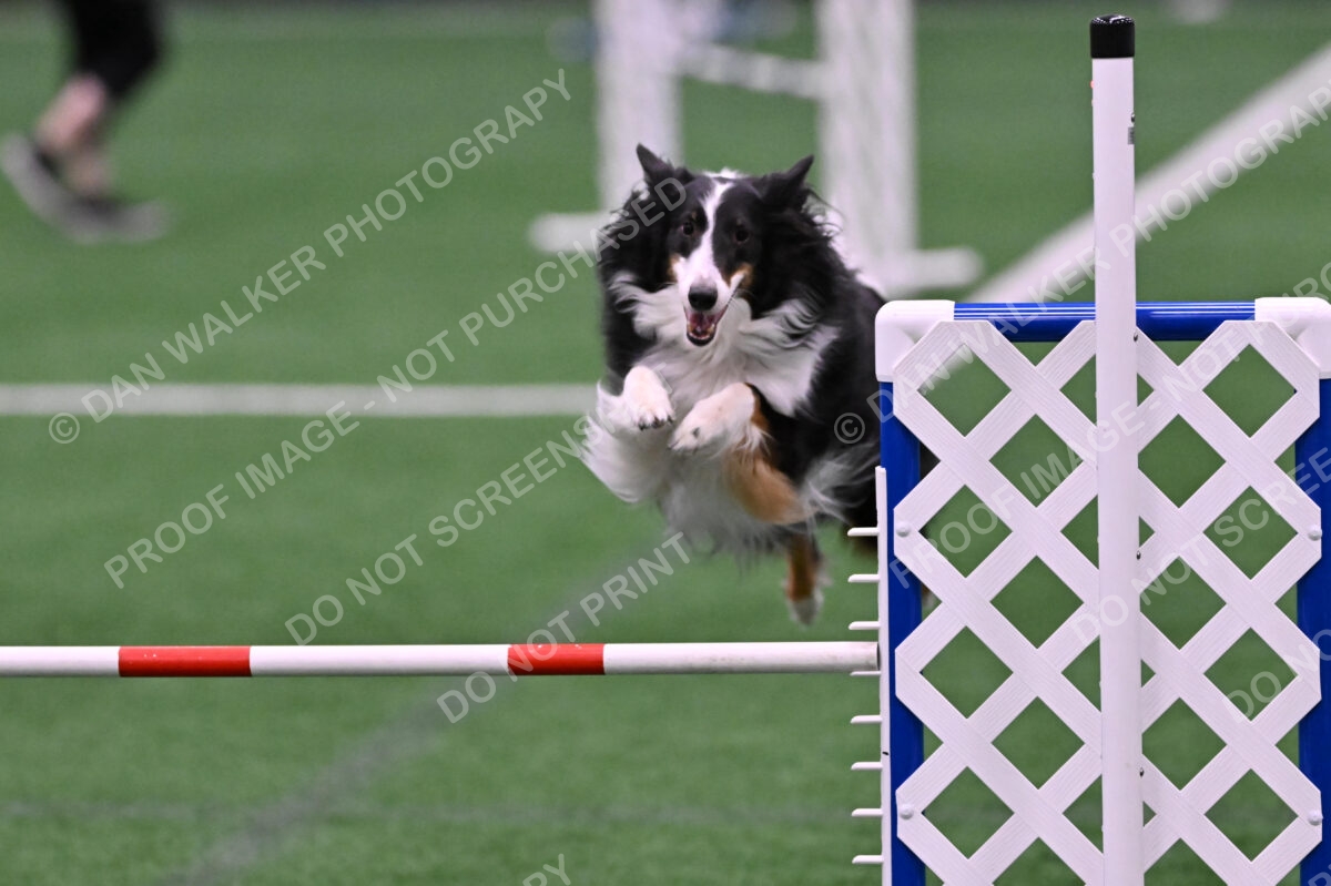 Ajax-John-Lathem-03505