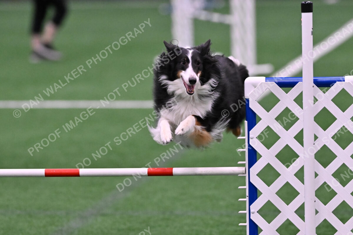 Ajax-John-Lathem-03506