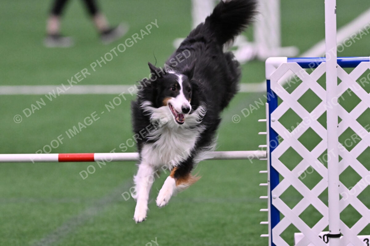 Ajax-John-Lathem-03508