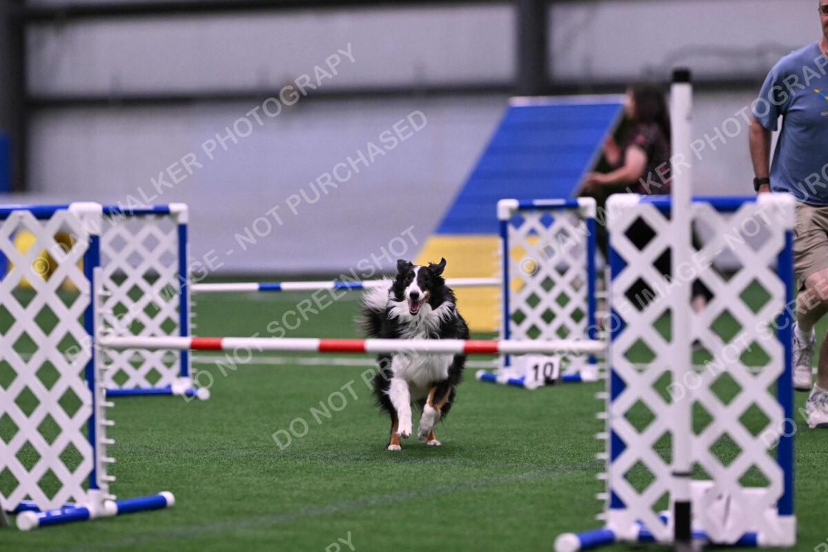 Ajax-John-Lathem-03514