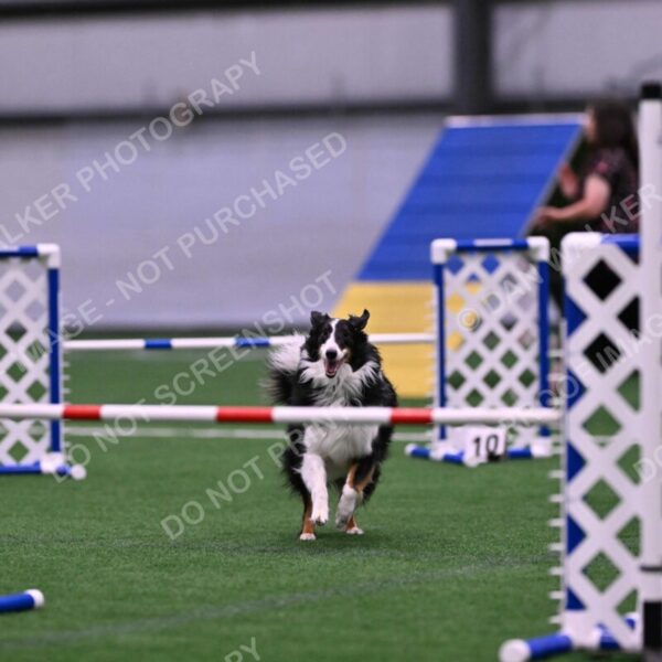 Ajax-John-Lathem-03514