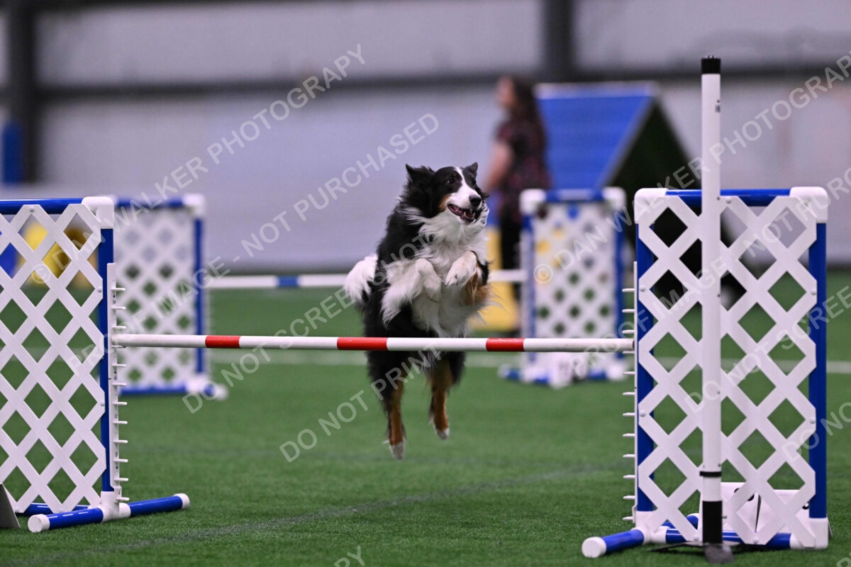 Ajax-John-Lathem-03522