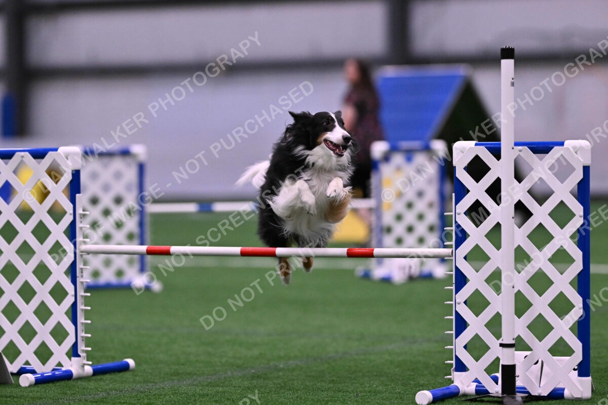 Ajax-John-Lathem-03523