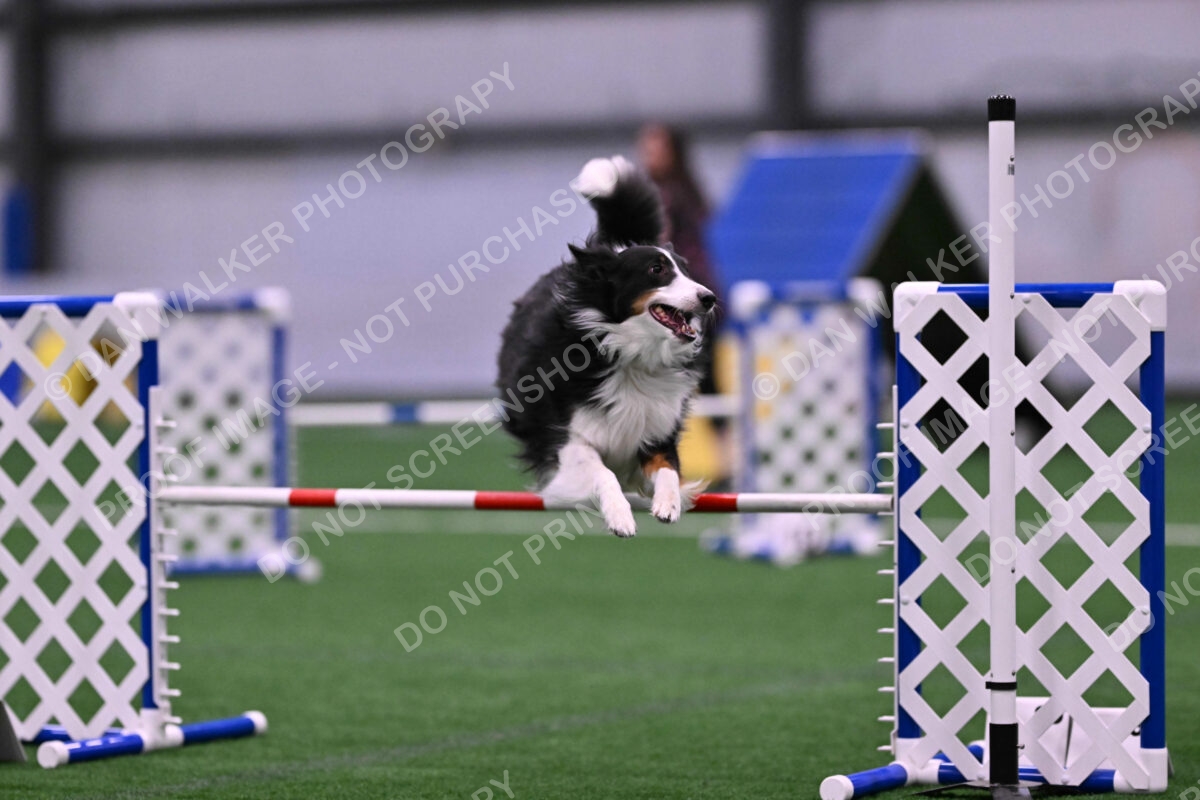 Ajax-John-Lathem-03525