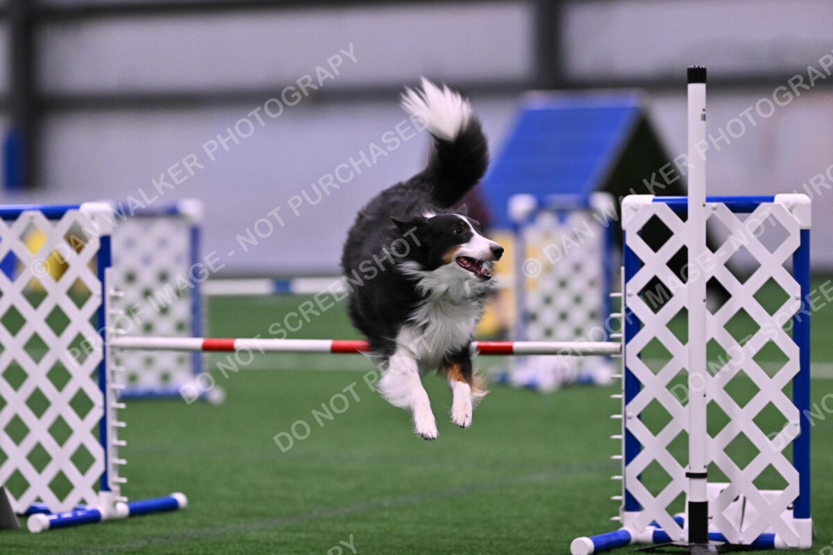 Ajax-John-Lathem-03526