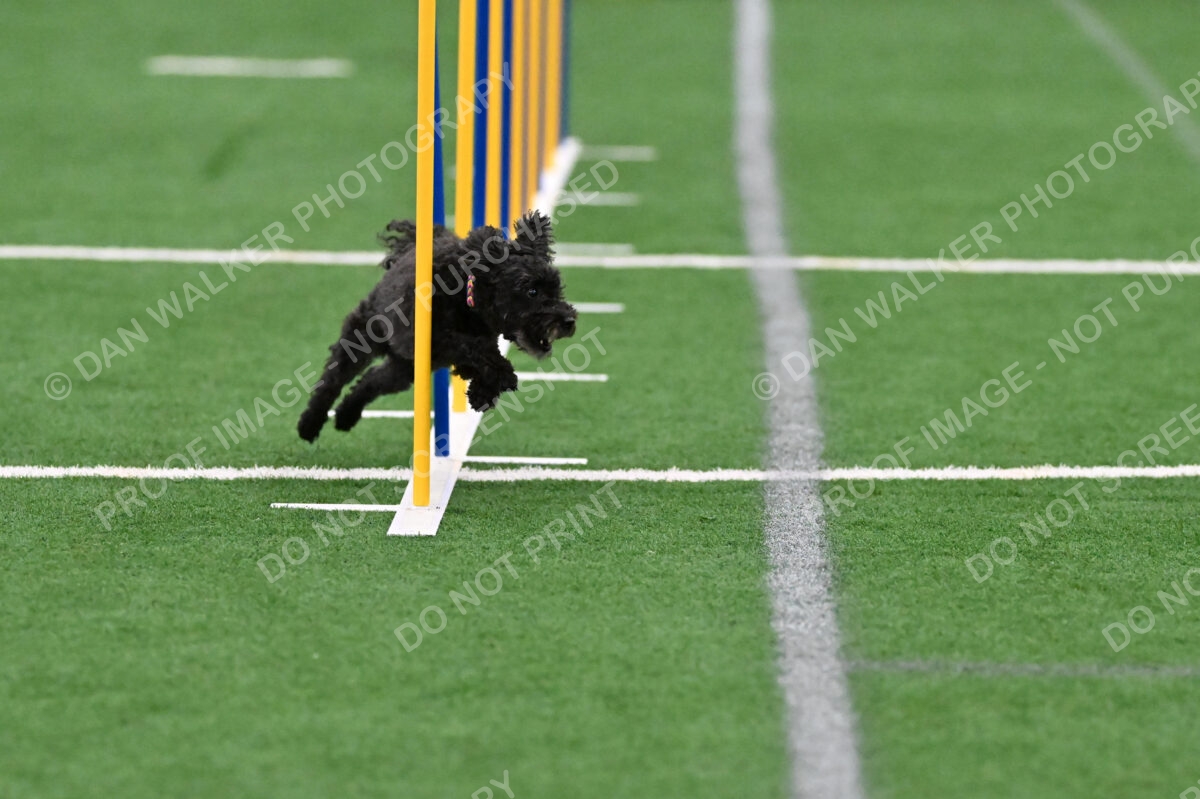 Aweggie-Kay-Rackley-01065