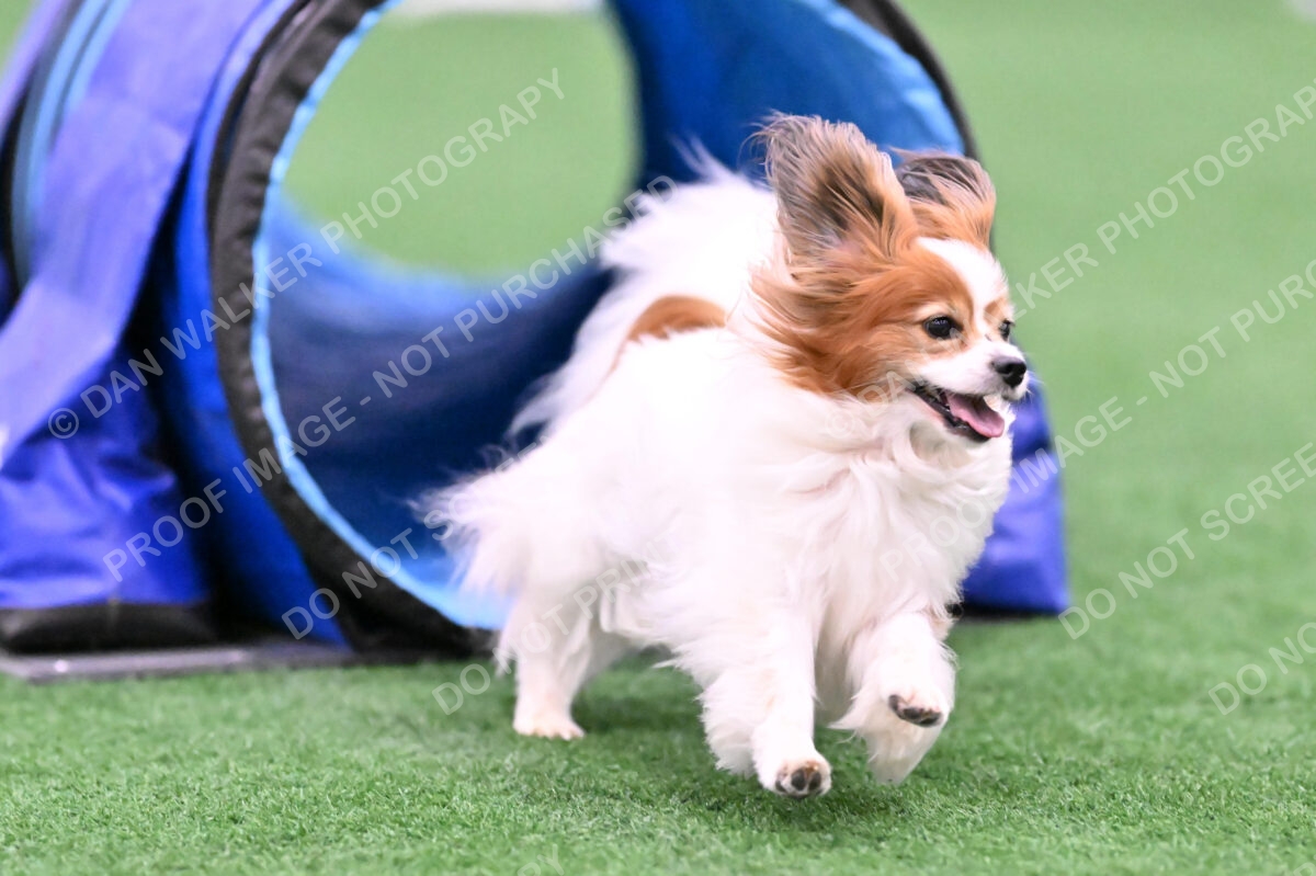 Boomer-Ramona-Cartwright-00077