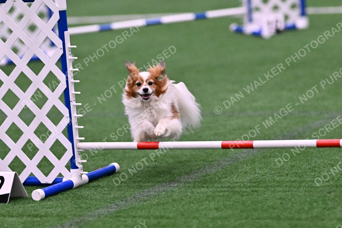 Boomer-Ramona-Cartwright-00079