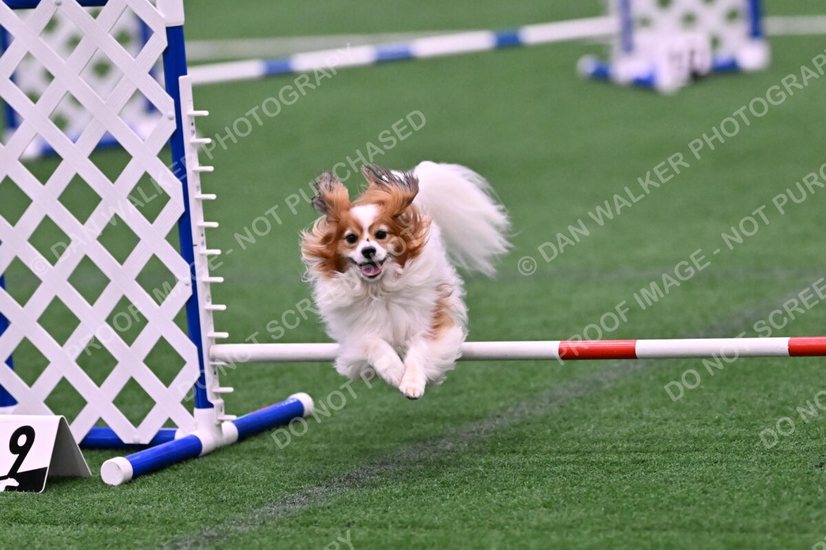 Boomer-Ramona-Cartwright-00080