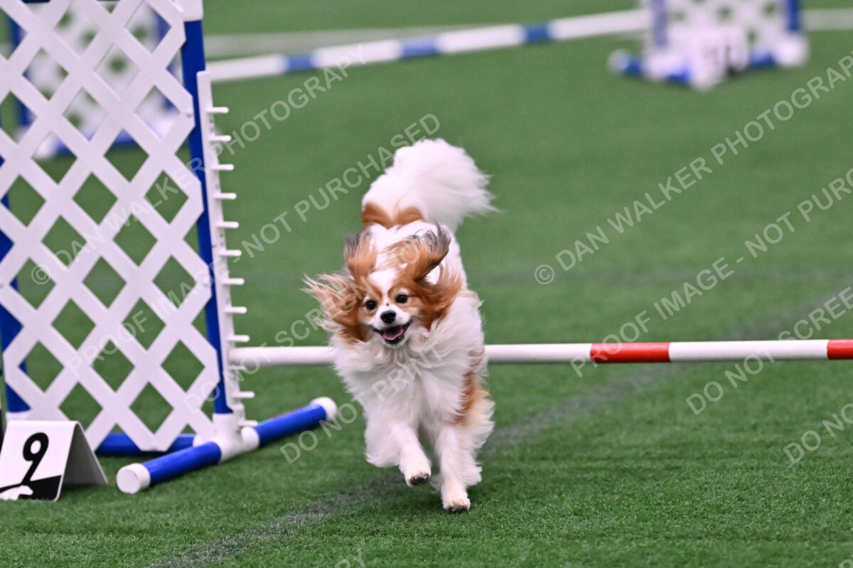 Boomer-Ramona-Cartwright-00081