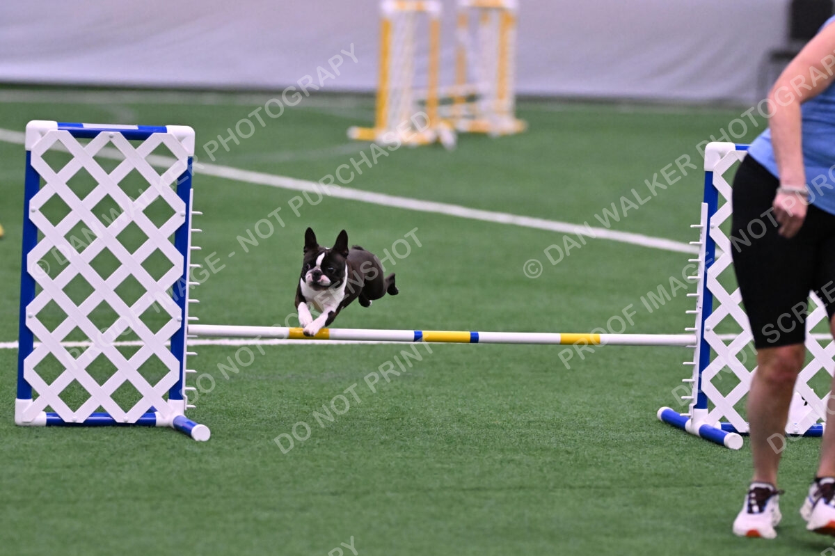 Bruno-Nancy-Huber-06577