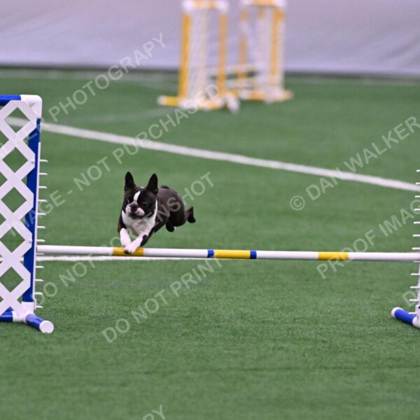 Bruno-Nancy-Huber-06577