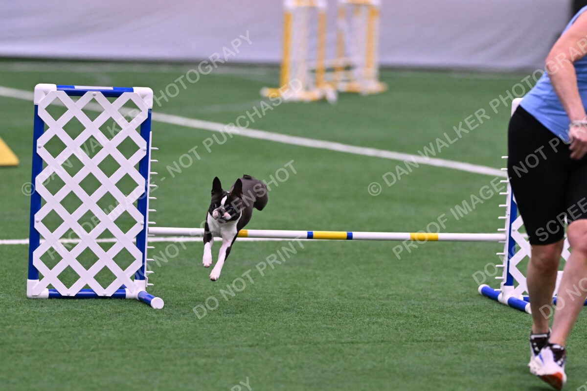 Bruno-Nancy-Huber-06578