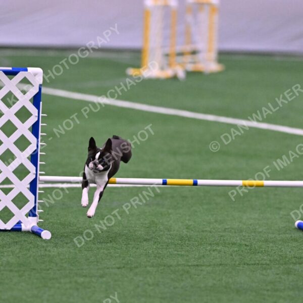 Bruno-Nancy-Huber-06578