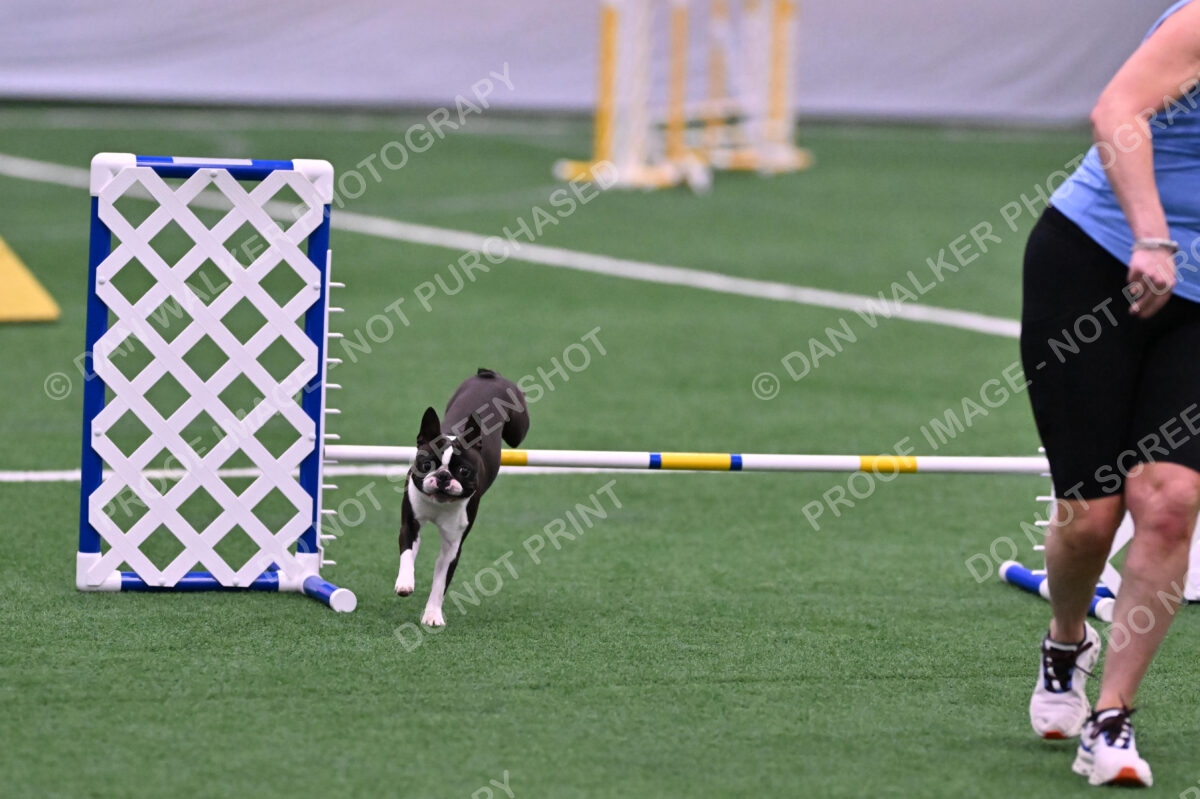 Bruno-Nancy-Huber-06579