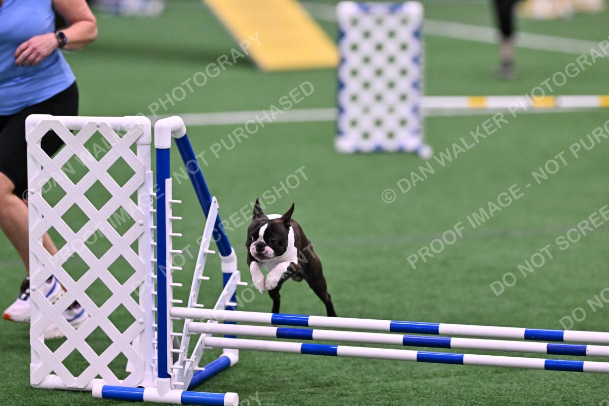 Bruno-Nancy-Huber-06580