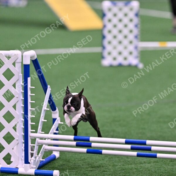 Bruno-Nancy-Huber-06580