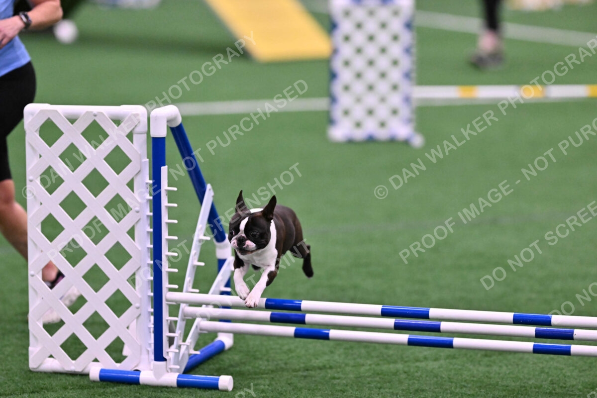 Bruno-Nancy-Huber-06581