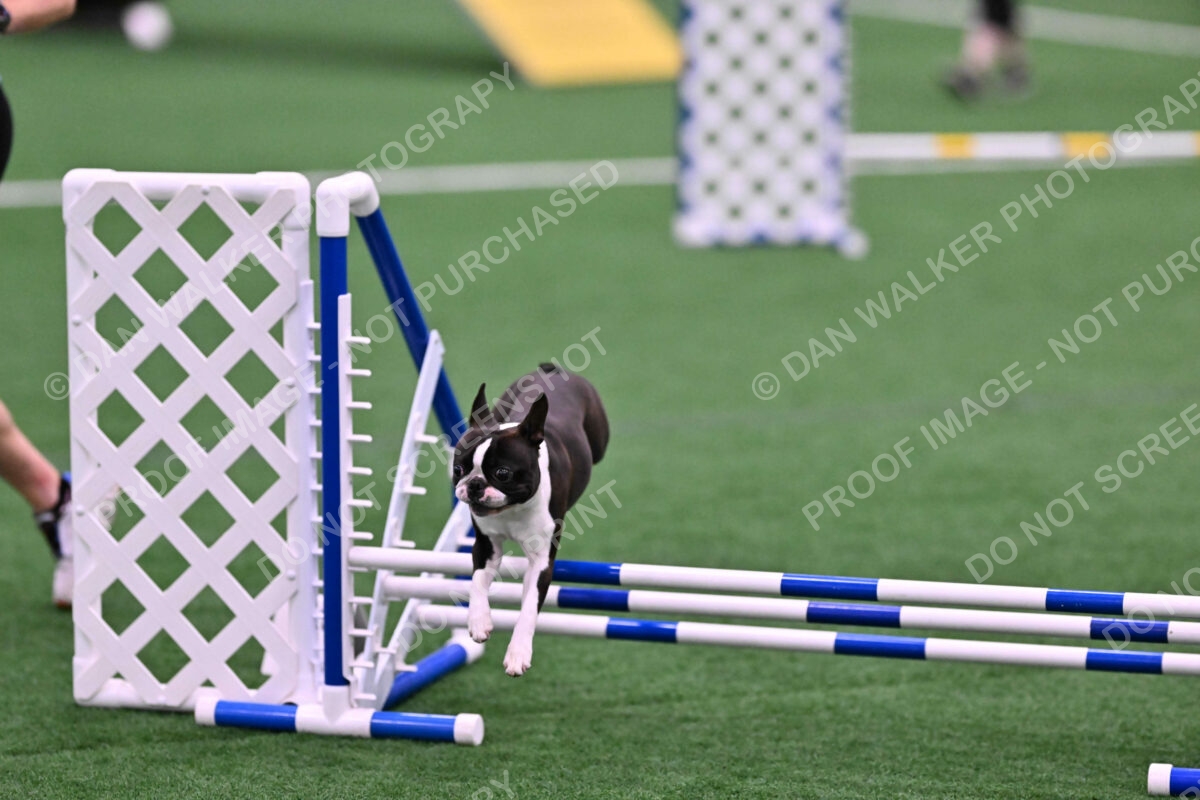 Bruno-Nancy-Huber-06582