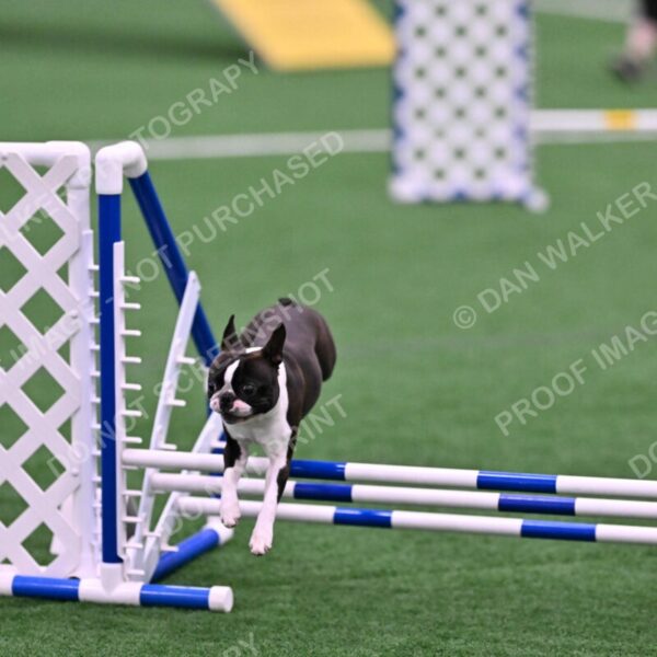 Bruno-Nancy-Huber-06582