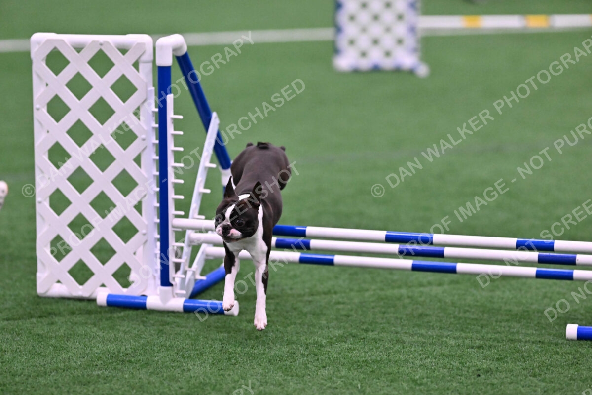 Bruno-Nancy-Huber-06583